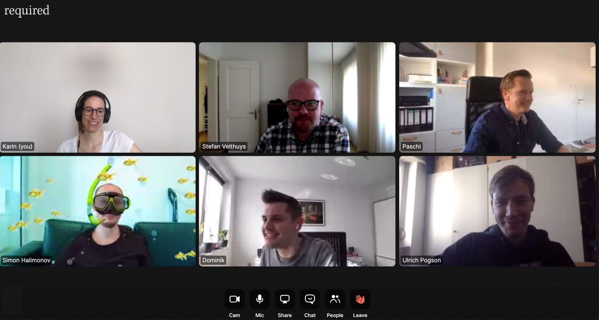 Screenshot von einem Video Meeting mit der Software Zoom